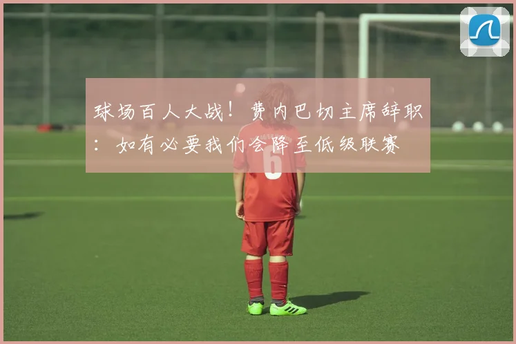 球场百人大战！费内巴切主席辞职：如有必要我们会降至低级联赛