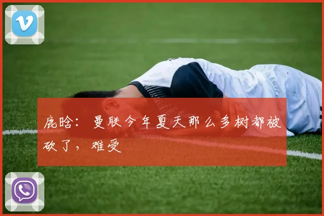 鹿晗：曼联今年夏天那么多树都被砍了，难受